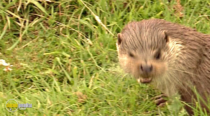 A still #98 from Thames Wildlife: Superhighway (2007)