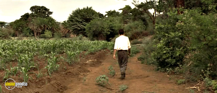A still #34 from Nowhere in Africa (2001)