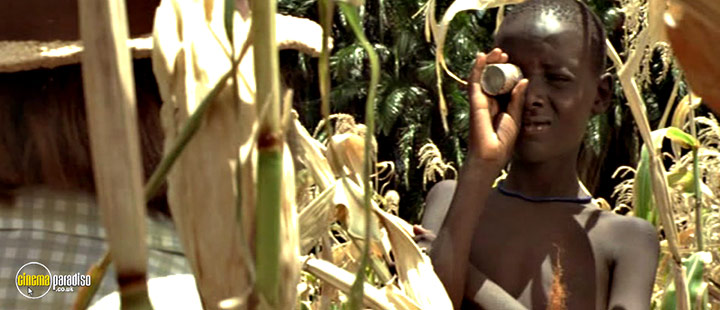 A still #38 from Nowhere in Africa (2001)