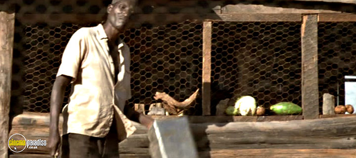 A still #92 from Nowhere in Africa (2001)