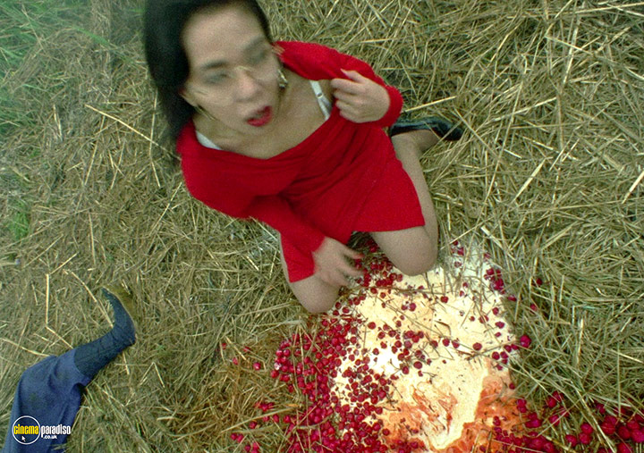 A still #43 from Pinocchio 964 (1991)