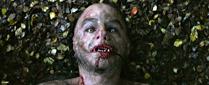 A still #1 from Wolf Man (2025)