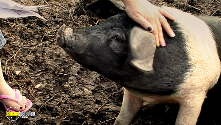 A still #17 from River Cottage Autumn (2008)