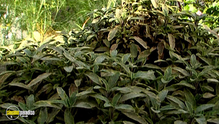 A still #30 from River Cottage Autumn (2008)