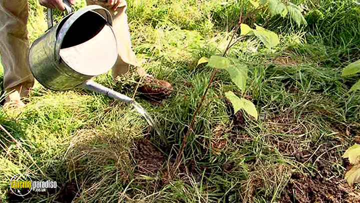 A still #31 from River Cottage Autumn (2008)