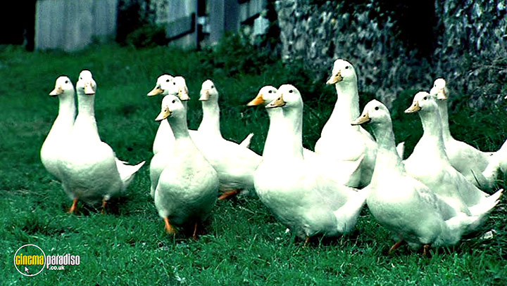 A still #34 from River Cottage Autumn (2008)