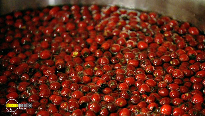 A still #36 from River Cottage Autumn (2008)