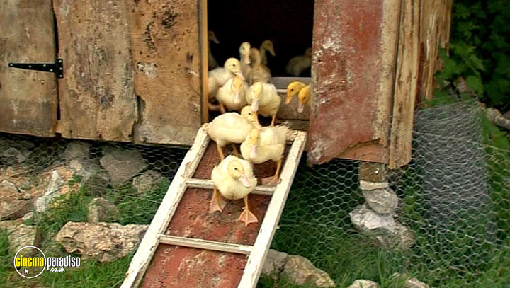 A still #45 from River Cottage Autumn (2008)