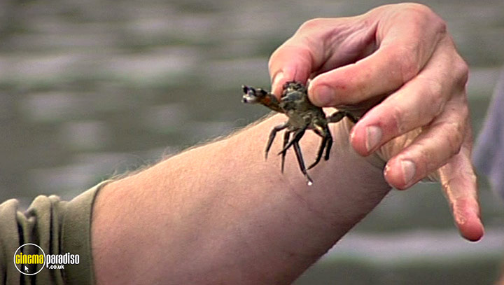 A still #48 from River Cottage Autumn (2008)