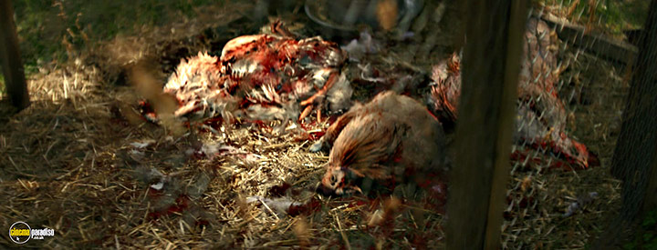 A still #35 from The Woman in the Yard (2025)