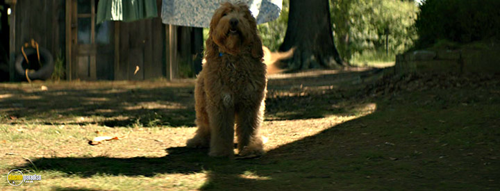A still #37 from The Woman in the Yard (2025)