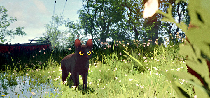 A still #14 from Flow (2024)