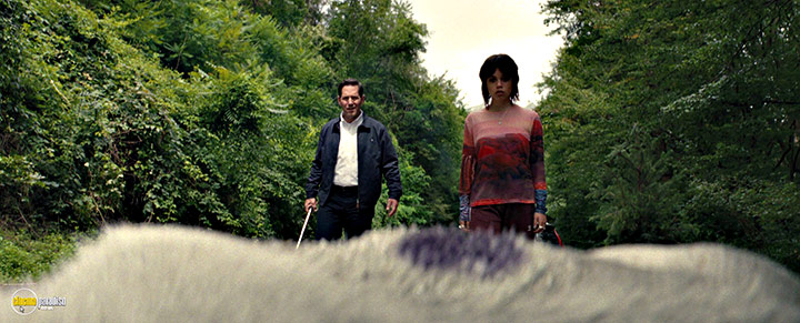 A still #82 from Death of a Unicorn (2025)