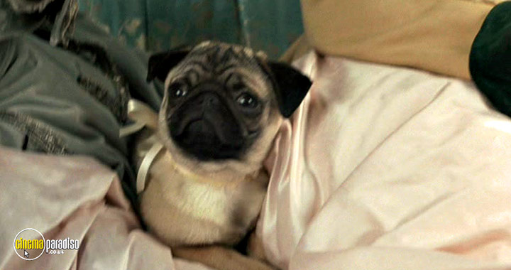 A still #13 from Marie Antoinette (2006)