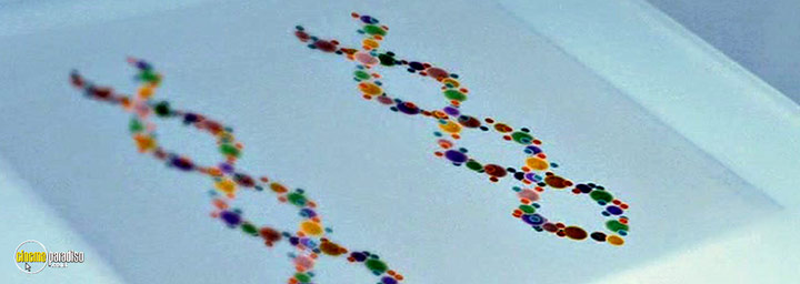 A still #22 from Code 46 (2003)
