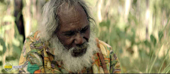A still #4 from Charlie's Country (2013)