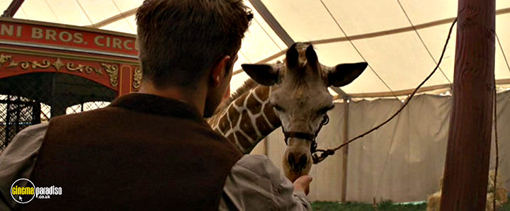 A still #19 from Water for Elephants (2011)