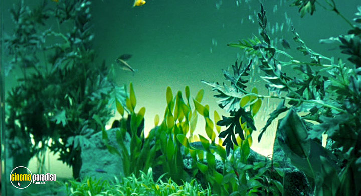 A still #19 from Venus (2006)