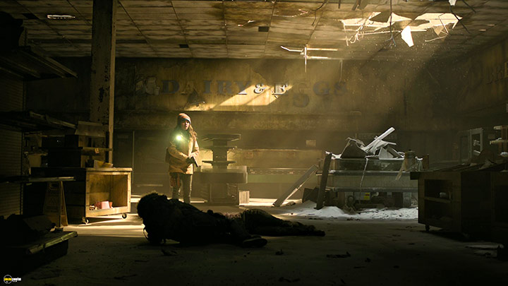 A still #37 from The Last of Us: Series 2 (2025)