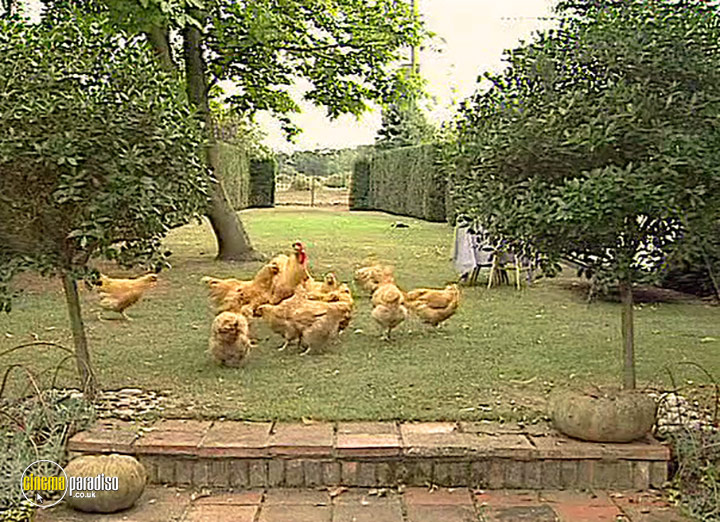 A still #4 from A Guide to Keeping Hens in Your Garden (2003)