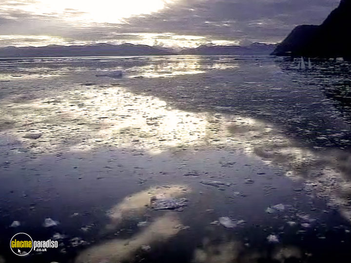 A still #3 from Whales: An Unforgettable Journey (1997)