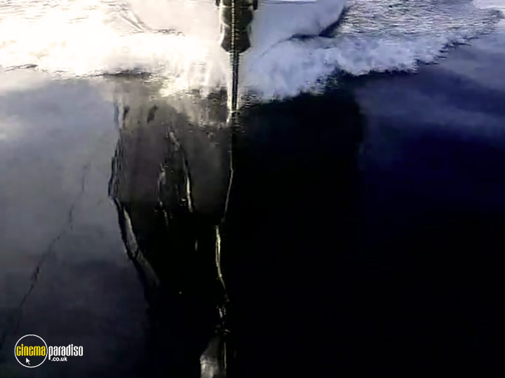 A still #4 from Whales: An Unforgettable Journey (1997)
