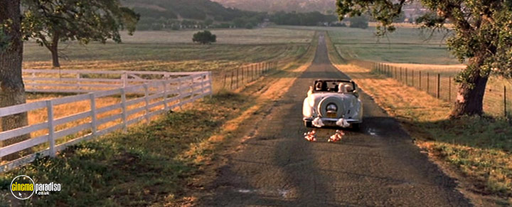 A still #29 from Bubble Boy (2001)