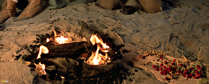 A still #21 from Crocodile Dundee II (1988)