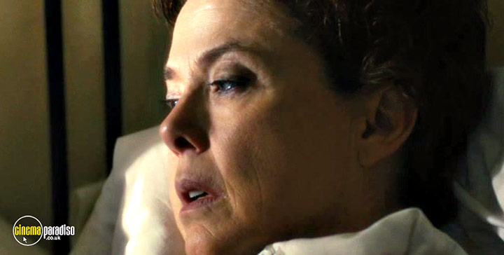 A still #12 from The Face of Love (2013)