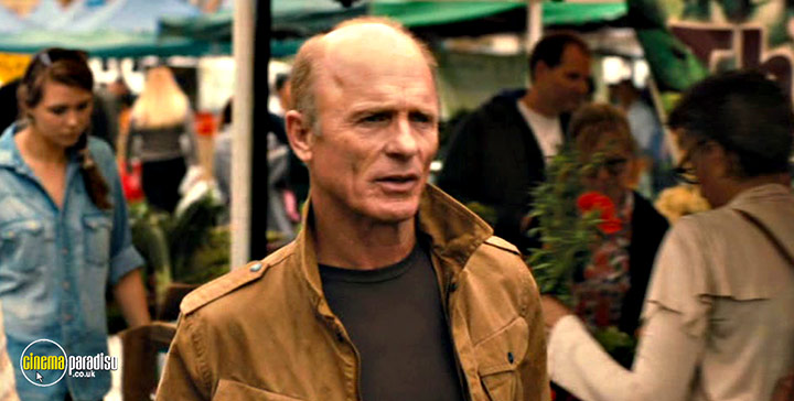 A still #18 from The Face of Love (2013)