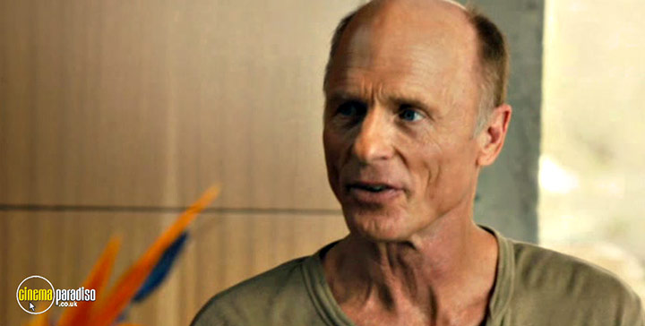 A still #33 from The Face of Love (2013)