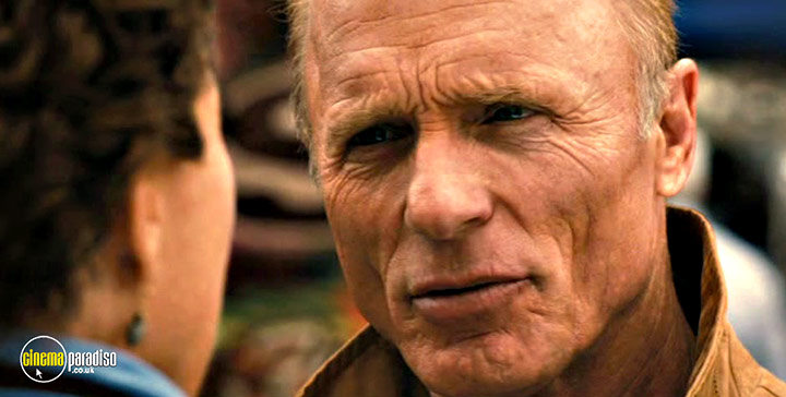 A still #39 from The Face of Love (2013)