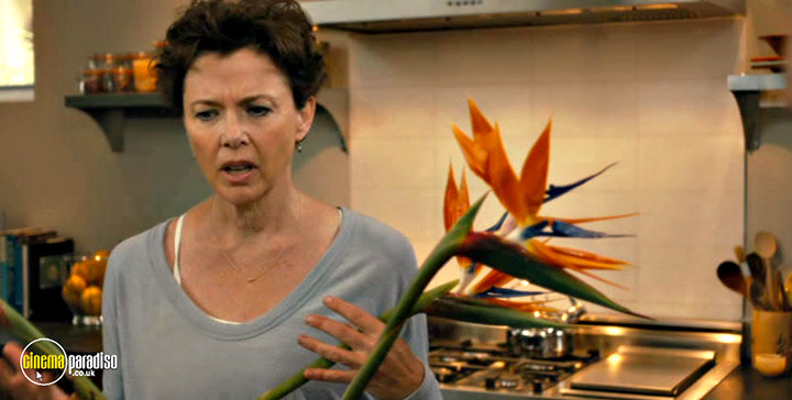 A still #40 from The Face of Love (2013)