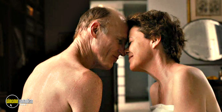 A still #45 from The Face of Love (2013)