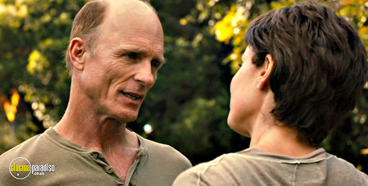A still #46 from The Face of Love (2013)