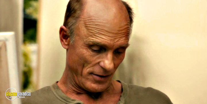 A still #50 from The Face of Love (2013)