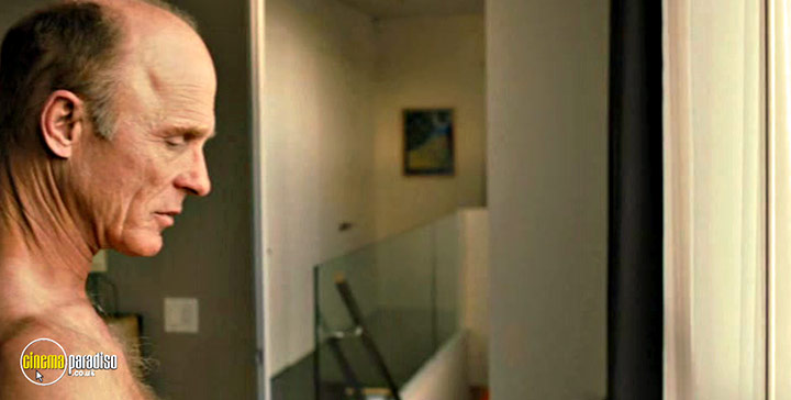 A still #52 from The Face of Love (2013)