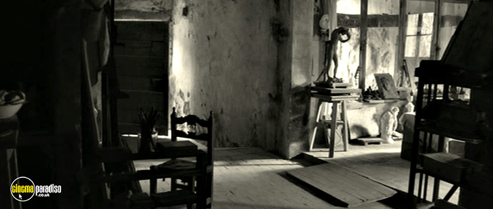 A still #18 from The Artist and the Model (2012)