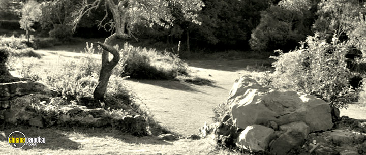 A still #28 from The Artist and the Model (2012)