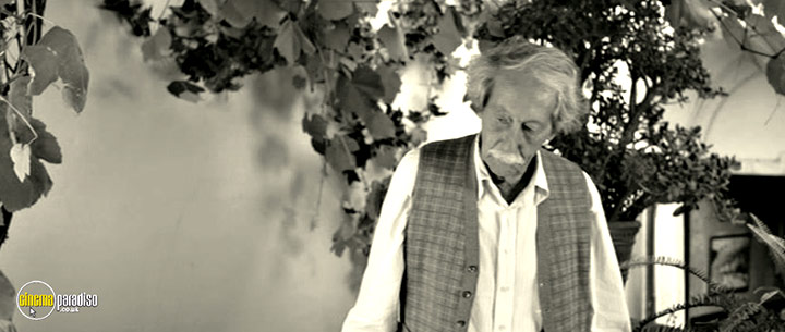A still #31 from The Artist and the Model (2012)