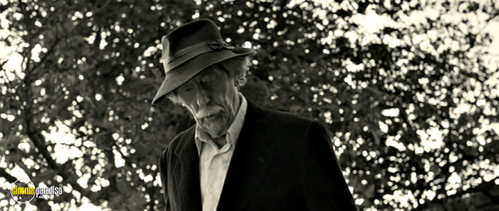 A still #56 from The Artist and the Model (2012)