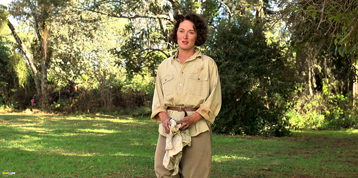 A still #12 from Out of Africa (1985)
