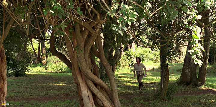 A still #24 from Out of Africa (1985)
