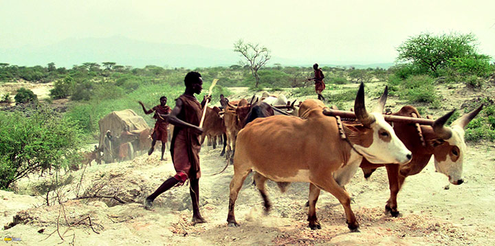 A still #19 from Out of Africa (1985)
