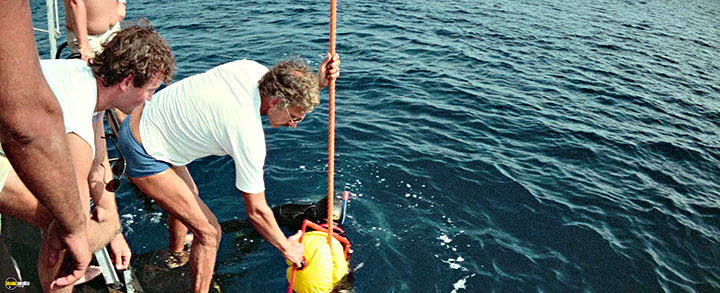 A still #14 from The Big Blue (1988)