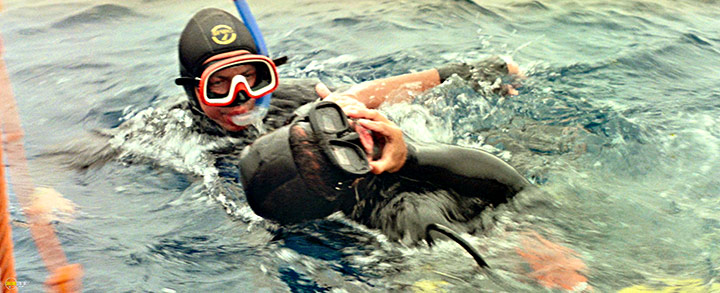 A still #31 from The Big Blue (1988)