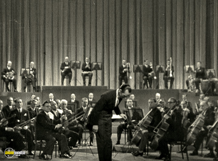 A still #17 from Instruments of the Orchestra (1946)