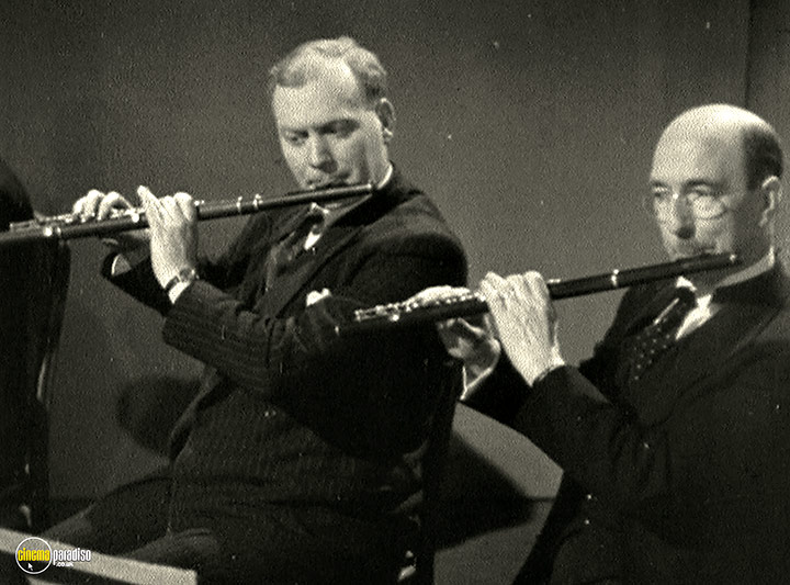 A still #29 from Instruments of the Orchestra (1946)