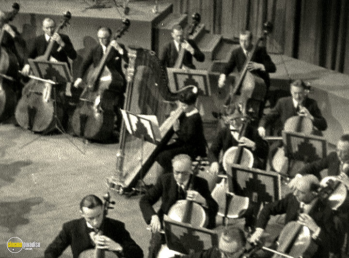 A still #34 from Instruments of the Orchestra (1946)