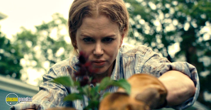 A still #50 from Rabbit Hole (2010)